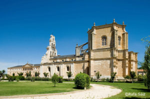 Monasterio de la Vid