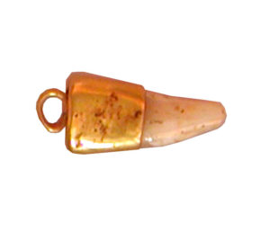 Diente engarzado en oro